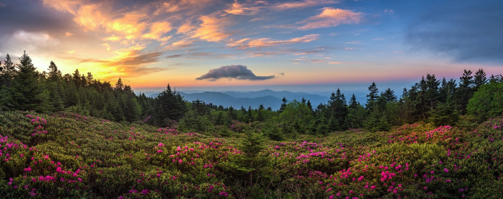 mountain view wedding venue in tennessee