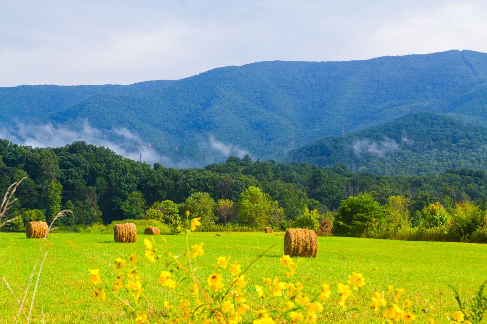 mountain view wedding venue in tennessee