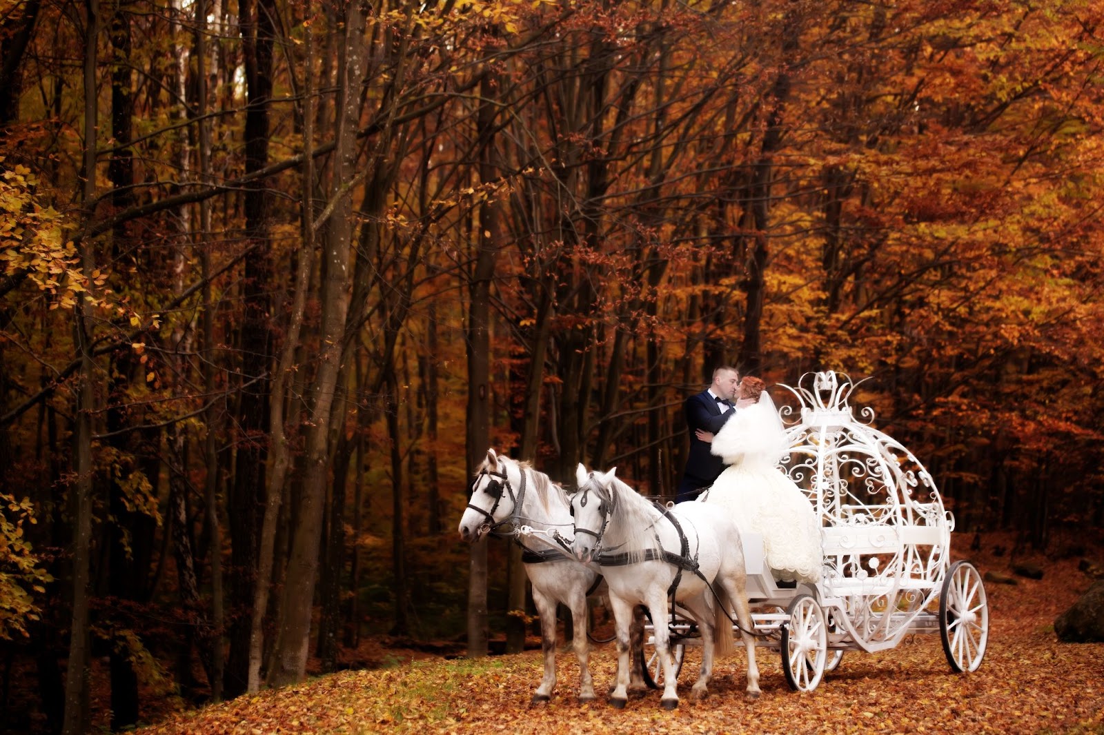 transportation for wedding