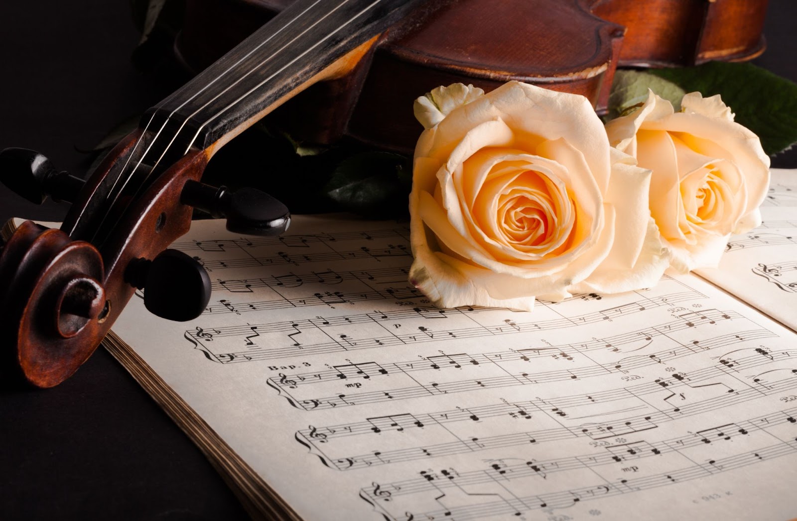 violin flower sheet