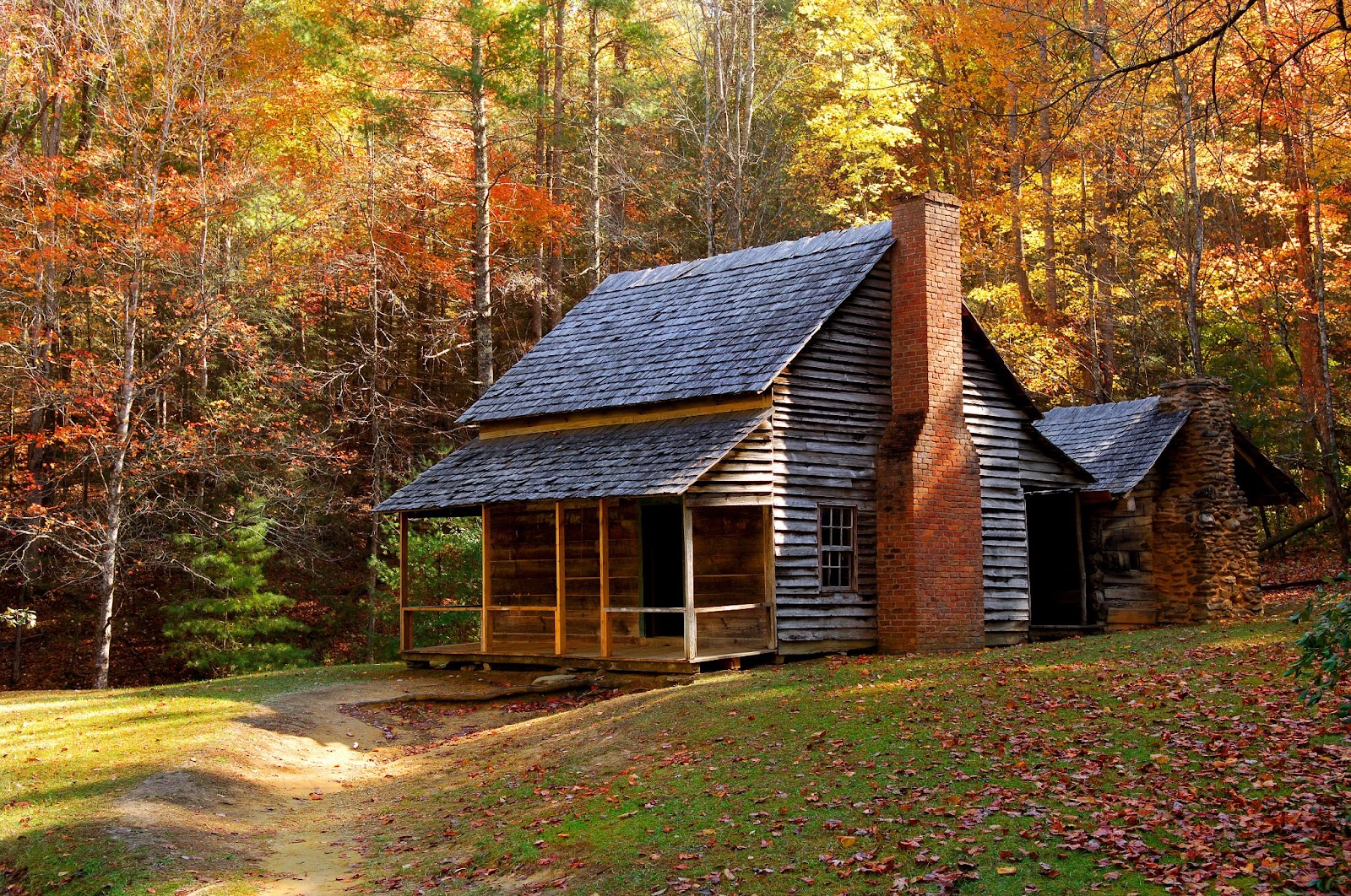 cabin mountain forest